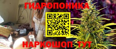 скорость Ливны