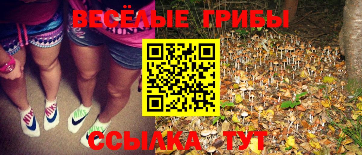 Видное  дарнет шоп  Вход с VPN  Галлюциногенные грибы Psilocybine cubensis 